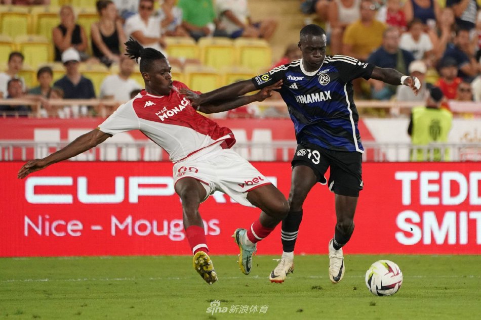 他们不仅为 他们不仅为